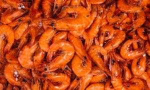 Winston-Foodservice-Seafood fresh shrimp cooked in a CVap oven