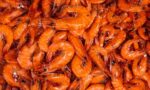 fresh shrimp cooked in a CVap oven