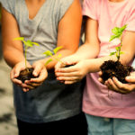 school gardens