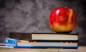Winston-Foodservice-School-Lunch school nutrition
