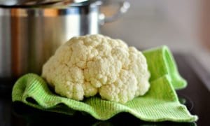 Winston-Foodservice-Vegan-Blog Winston-Foodservice-Vegan-Blog