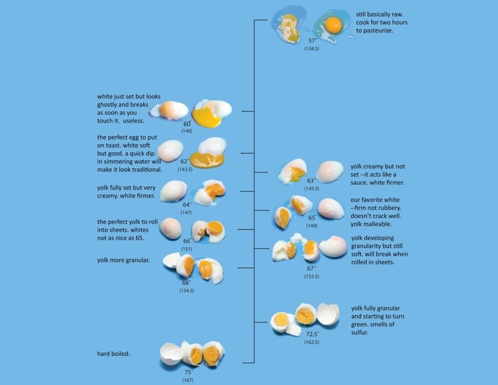 The Egg Chart