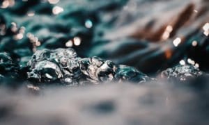 Winston-Foodservice-Water-2 Winston-Foodservice-Water-2