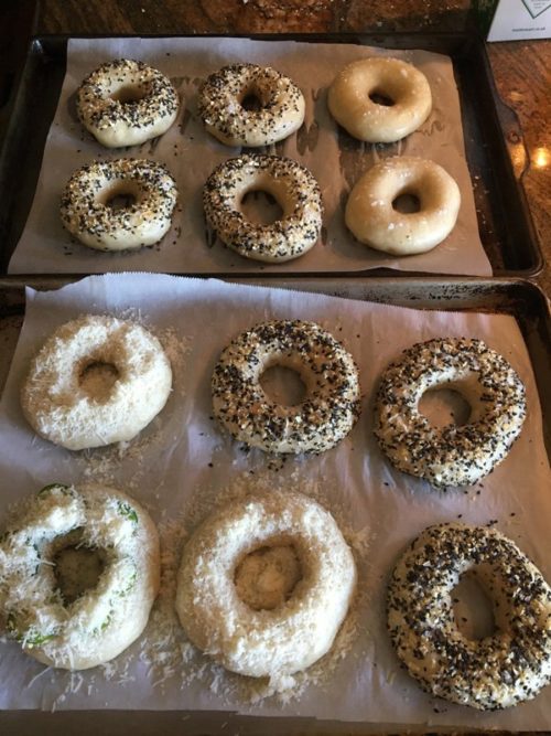 bagels trayed for oven