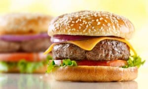 Winston-Foodservice-CVap-Burgers staging in a cook and hold oven is great