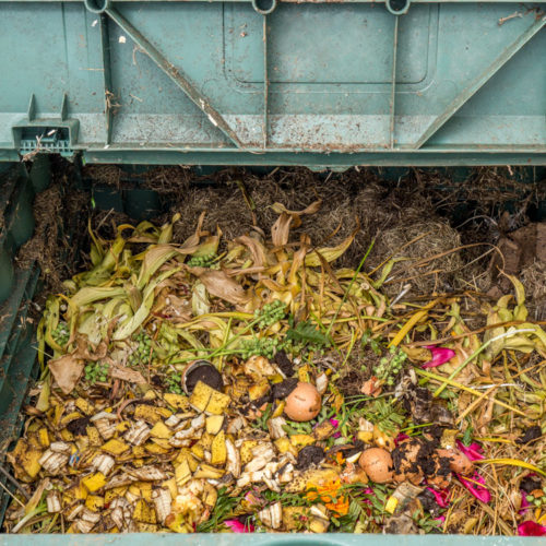 caterer food waste