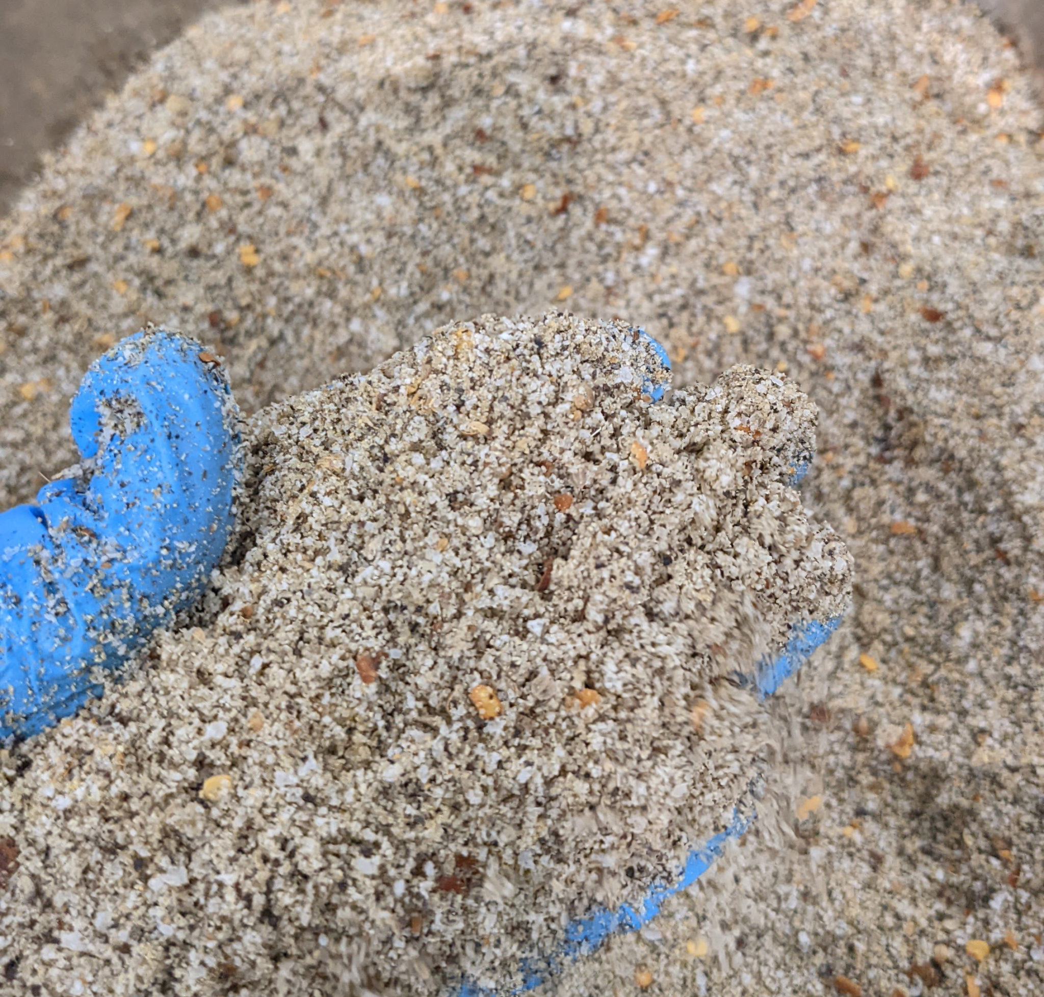 Pastrami Recipe How to Make Pastrami Winston Foodservice