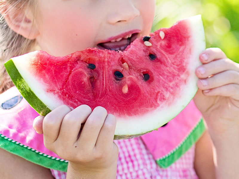 summer feeding