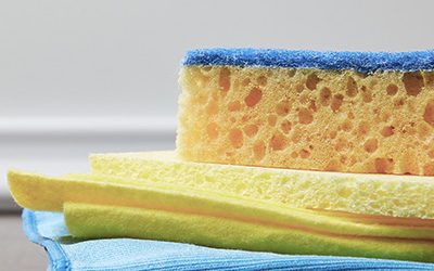 sponge sponge